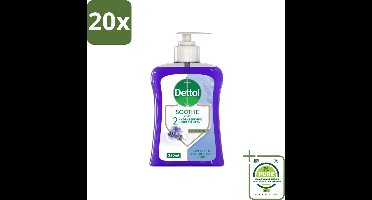20 x Dettol - Handzeep - Soothe - Lavendel & Vioolbloesem - 250 ml - Grootverpakking - Antibacteriële Handzeep - Lavendel Handzeep - Vioolbloesem Handzeep - Verzachtende Handzeep - Handzeep Voor Gevoelige Huid