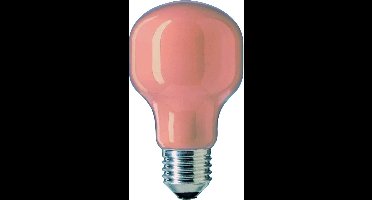 Softone 60W E27 230V T55 TE 1CT - T-vormige gasgevulde lampen met modern uiterlijk, 1000h