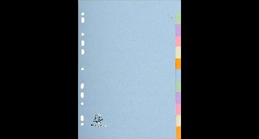 A4 Verdelers Gerecycled 170 g/m² - 12 Neutrale Tussenschotten - Pastel - Exacompta Forever