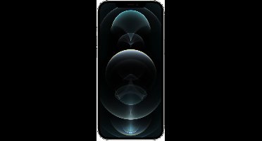 Apple iPhone 12 Pro Max 256Gb Silver