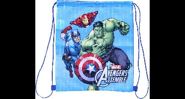 Avengers Gymtas