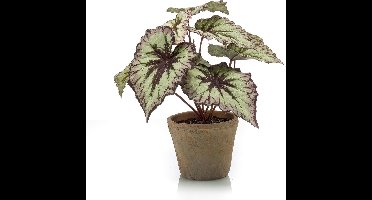 Kunstplant Begonia grijs/paars 25 cm in pot