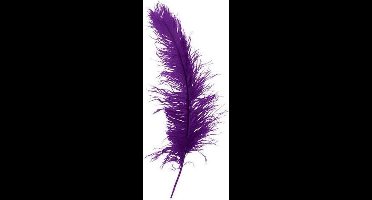 Witbaard Struisveer 50-60 Cm Paars