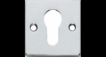 Intersteel Rozet vierkant met profielcilindergat chroom