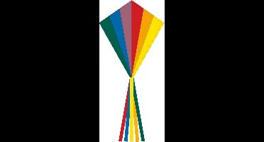 HQ kindervlieger Eddy Rainbow 58 X 70 cm - Eenlijns vlieger voor kinderen vanaf 5 jaar