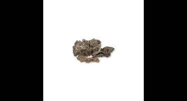 Fulguriet Ruw (Model 1 - 10 gram)