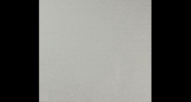 Dutch Wallcoverings Vliesvinyl Behang Matje 11 m - Overschilderbaar