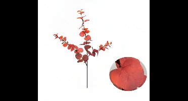 Buitengewoon de boet - Money leaf tak bruin rood 104 cm