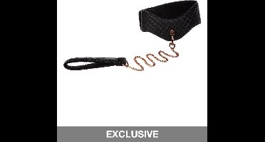 Posture Collar With Leash
