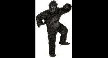 Vegaoo - Zwart gorilla kostuum voor volwassenen