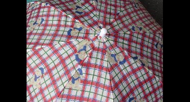 kinder paraplu beertje geruit