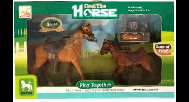 Horse Paard met Veulen