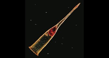 Melodies of Atonement