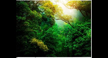 Pop-Up Magnetic Straight 4 X 3 met Soft Trolley - Syna PUM43S-ST - Horeca & Professioneel