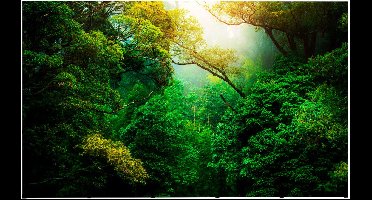 Pop-Up Magnetic Straight 5 X 3 - Syna PUM53S - Horeca & Professioneel