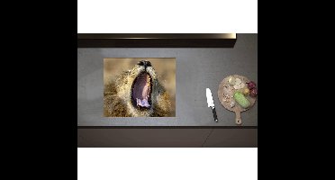 Inductieplaat Beschermer - Brullende Leeuw zonder Tanden - 60x50 cm - 2 mm Dik - Inductie Beschermer - Bescherming Inductiekookplaat - Kookplaat Beschermer van Zwart Vinyl