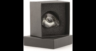Giftdoosje Goniatiet