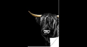 Poster Schotse Hooglander - Goud - Zwart - 20x30 cm