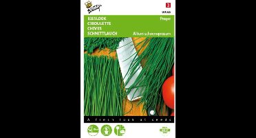 2 stuks Bieslook fijne Prager (Allium schoenoprasum)