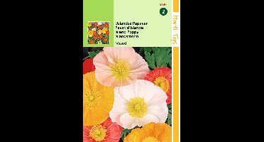 2 stuks - Hortitops - Papaver Nudicaule Excelsior Gemengd Ijslandse...