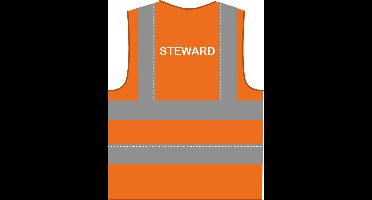 Steward hesje RWS oranje