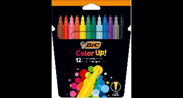 Wereldkaart om te Krassen Bic 964900