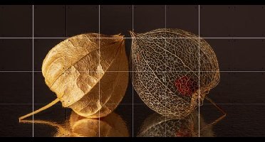 IXXI Panorama fragiel samenzijn - kwetsbaar en broos maar nog zo gelukkig samen, Marjolijn van den Berg - 160 x 80 cm - Gratis ophangtool - Grote