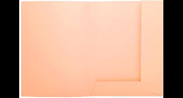 Exacompta 5x SUPER 210 - pak van 50 dossiermappen + 2 kleppen - 24x32cm - - Gems - 332002E