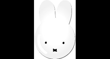 Nijntje wegwerp bordjes van karton - 24x stuks - 23 cm - Verjaardagen en kinderfeestjes feestartikelen