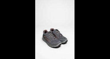 AXOS GTX LO Ws Dames Grijze Wandelschoen