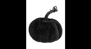 CHAKS - Zwart fluwelen pompoen 10 cm