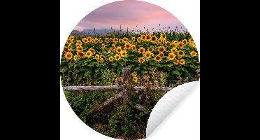 WallCircle® - Behangcirkel 30x30 cm - Muurstickers Zonnebloem - Bloemen - Planten - Muurcirkel woonkamer - Wandcirkel slaapkamer - Kamer decoratie zelfklevend - Muurdecoratie accessoires
