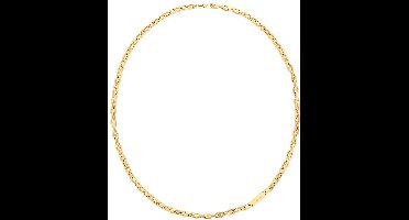 Calvin Klein CJ35000410 Heren Ketting - Collier