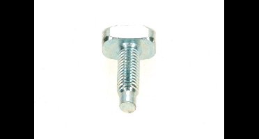 BOSCH Schroef M6x20, 87387046370
