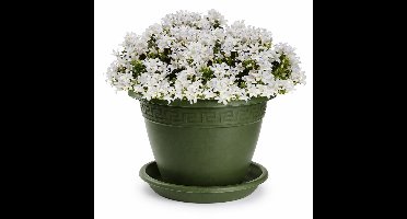 Plasticforte plantenpot met opvang schaal - donkergroen - rond - D20 x H15 cm - kunststof - buiten - tuin - bloempot