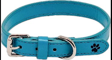 Turquoise Leren Halsband Hond - Turquoise Hondenhalsband Leer - Blauw - Blauwgroen - Twinkly Turquoise - Paw My God! - Maat L