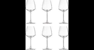 Royal Leerdam Experts Collection Wijnglas 43 Cl - 6 Stuks