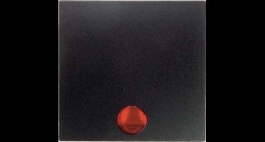 Hager Berker S.1/B.3/B.7 Schakelelement/Centrale Plaat - 16211606 - E2FDT