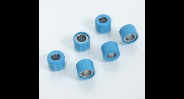 originele variatorrol voor piaggio 125 sfera rst scooter 19x14 12grs / ap8550431 nieuw