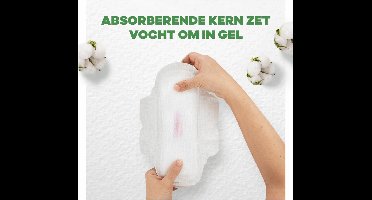 Always Maandverband Bio Cotton Protection Ultra Night met Vleugels 8 stuks