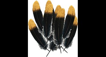 Partyxplosion Ganzenveer/sierveer - 30x stuks - zwart met goud - 18-22 cm - decoratie/hobbymateriaal