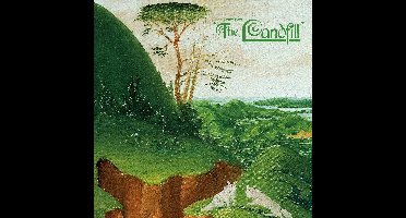 Fruit Bats - The Landfill (CD)