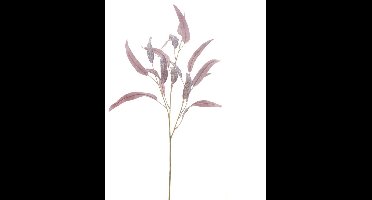 Buitengewoon de boet - Seed eucalyptus spray rood 74 cm kunsttak
