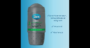 Odorex Deo Roller Men – Fresh Protection - 3 x 50 ml