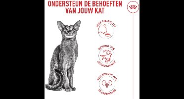Royal Canin Fussy Exigent - Kattenvoer - 2 kg
