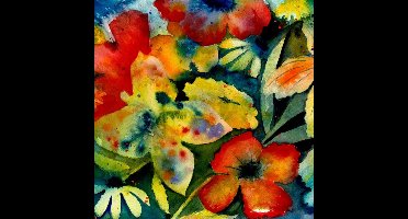 Songs And Instrumentals