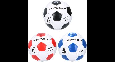 Voetbal Dunlop Leer Wit