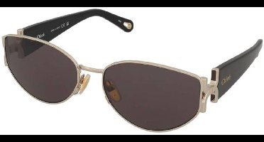 Zonnebrillen Chloe CH0260S 001