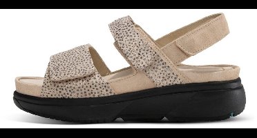 Xsensible Stretchwalker Aruba 307000.5.446 G-H