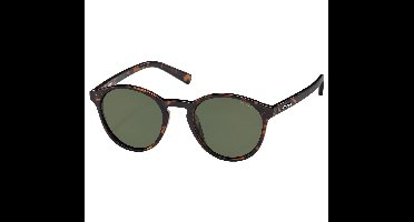 POLAROID Zonnebril (PLD1013/S) Volwassenen Bruin Volledig omrand Polarizerend